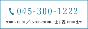 tel:045-300-1222