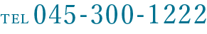 045-300-1222