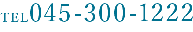 045-300-1222